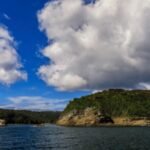 In 2025, Leonardo DiCaprio’s conservation group helped buy more than 52,000 acres on a Chilean island to prevent mining and logging; a year later, its future as a protected area is being negotiated