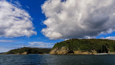 In 2025, Leonardo DiCaprio’s conservation group helped buy more than 52,000 acres on a Chilean island to prevent mining and logging; a year later, its future as a protected area is being negotiated