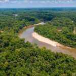 Marion: A 2,600-acre South Carolina timber property at the rivers where Revolutionary War commander Francis Marion hid from British forces has been transferred to the state, advancing a 7,600-acre conservation project with 60+ miles of riverfront