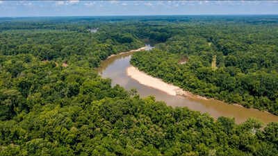 Marion: A 2,600-acre South Carolina timber property at the rivers where Revolutionary War commander Francis Marion hid from British forces has been transferred to the state, advancing a 7,600-acre conservation project with 60+ miles of riverfront