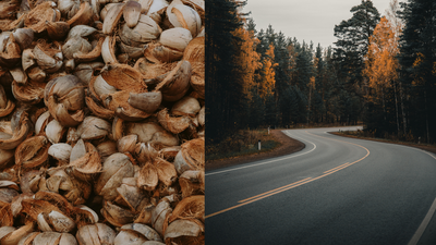 Engineers turn coconut shells into road material; 12.5% biochar makes asphalt stronger and more heat-resistant |