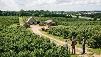 An Ontario farmer says he turned down a C million offer for his 164-acre fruit farm; instead, his family placed 29 acres under a 999-year easement, with plans to protect the rest from development