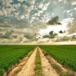 Philip Rietveld assembled nearly 1,500 acres of Illinois and Indiana farmland over his lifetime; after his death in 2026, his family sold 23 tracts for .46 million, with one fetching ,600 an acre