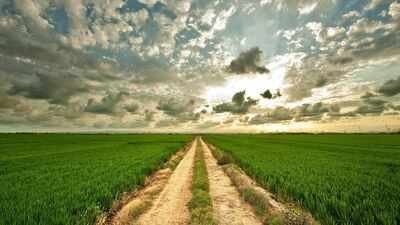 Philip Rietveld assembled nearly 1,500 acres of Illinois and Indiana farmland over his lifetime; after his death in 2026, his family sold 23 tracts for .46 million, with one fetching ,600 an acre
