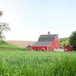 An Iowa family lived on and worked its farmland for 84 years as Tom Woods gradually expanded the operation; now 1,209 acres are being split into 13 tracts and auctioned, ending a family land chapter