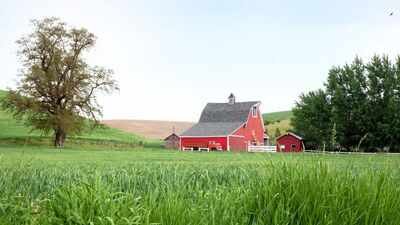 An Iowa family lived on and worked its farmland for 84 years as Tom Woods gradually expanded the operation; now 1,209 acres are being split into 13 tracts and auctioned, ending a family land chapter