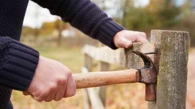 Missouri man was fixing a fence after a months-long property-line dispute when his neighbour allegedly fired a shot; police say video showed a 60-year-old woman pointing a gun at the fence, and court set $500,000 bond