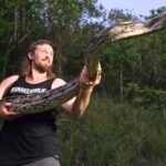 Florida python hunter captures 18-foot invasive python in Puerto Rico after it strangled a pet cat, setting a local live-capture record | World News