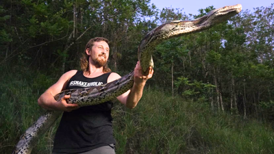 Florida python hunter captures 18-foot invasive python in Puerto Rico after it strangled a pet cat, setting a local live-capture record | World News