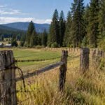 An Idaho couple who have farmed beside a barbed-wire fence since 1979 fought the state over 5.95 acres, and an October 27 Supreme Court ruling reversed the state’s title victory and reopened their ownership claim