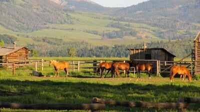 In 2022, California’s 4.2-acre Rancho Cariñoso asked 9 million; after years of price cuts, the beachfront horse ranch sold at auction for .55 million, with nearly an acre of private beach