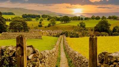 ​For 10 years, farmers across 13,500 hectares of southern England coordinated habitat work; one cluster recorded a 346% rise in corn buntings and a 183% rise in butterfly abundance over the decade