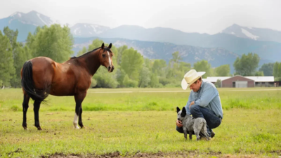 A Colorado ranch homesteaded before statehood stayed with the same family for six generations; more than 150 years later, 650 of its roughly 700 acres were permanently protected from subdivision | World News