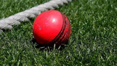 Red to pink ball? MCC official clarifies how ICC’s new Test trial will work | Cricket News