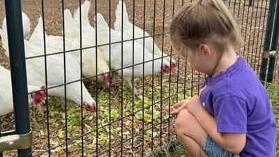 In 2016, a Texas couple took in two unwanted dairy goats in their tiny South Austin backyard; 10 years later, Austin Farm Sanctuary covers 95 acres and cares for more than 250 rescued farm animals