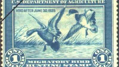 In 1934, America created a $1 conservation stamp for duck hunters; it has since helped protect more than 6 million acres of wetlands | World News