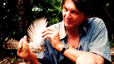 In 1974, just four Mauritius kestrels remained in the wild; then Carl Jones brought the bird back from the brink of extinction, with numbers reaching around 600 | World News