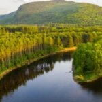 In 2020, conservation partners began securing Maine’s Chadbourne Tree Farm; six years later, more than 27,000 acres of working forest are permanently protected from development. The forest remains open to the public