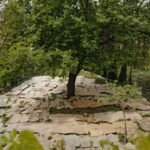 In 2022 US Department of Agriculture funded a trial by spreading cardboard in gardens to avoid weeds; by the second season weeds covered only 15% of the cardboard beds compared to 45% in tilted beds