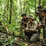 In 2025, scientists examined three king cobra encounters in Thailand, revealing a little-known side of the venomous snakes that had long been missing from scientific research |
