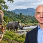 Jeff Bezos’ Earth Fund joins eight other conservation groups in 0 million pledge to save world’s most endangered species; alliance aims to prevent extinctions | World News