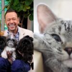 Jenny McCarthy co-hosted a pet competition that raised over  million to help complete a 25-acre wildlife rehabilitation centre in Washington﻿ | World News
