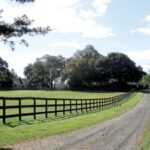 Jon Stewart Farm: Jon Stewart and his wife Tracey paid  million for a historic 45-acre New Jersey farm in 2016; the property now grows crops and cares for rescued cows, sheep, goats, pigs and chickens through their sanctuary foundation