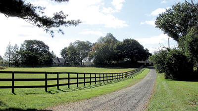 Jon Stewart Farm: Jon Stewart and his wife Tracey paid  million for a historic 45-acre New Jersey farm in 2016; the property now grows crops and cares for rescued cows, sheep, goats, pigs and chickens through their sanctuary foundation