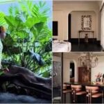 Look INSIDE Soubin Shahir’s Kochi apartment; actor’s 6,300-square-foot home features lush greenery; childhood memories inspired his love for plants | Malayalam Movie News