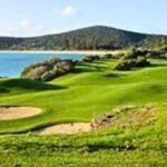 Lord Howe Island declared its rats eradicated, then scientists found suspicious rodents; DNA is revealing whether they are survivors or new invaders |