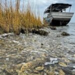 Louisiana volunteers used 200 tons of discarded oyster shells to build a 400-foot barrier near an Indigenous village; two years later, live oyster density jumped from 52 to 130 per square metre