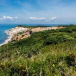 Martha’s Vineyard rejected a 54-acre subdivision with 26 below-market lots and 19 luxury homes after seven marathon meetings, leaving land bought for .6 million in 2017 undeveloped for now