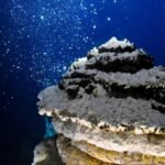 6.7 magnitude earthquake hits central Mid-Atlantic Ridge