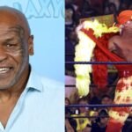 Mike Tyson’s co-founded company seeks  million from Hulk Hogan’s estate over a beer brand deal; the claim is double the wrestler’s reported  million probate estate | World News