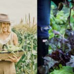 At 21, an Australian waitress quit with 0 and cooked meals for 10 gym friends from a Bondi apartment; the side hustle later reached  million in revenue and built a 100-acre farm