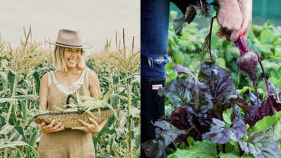 At 21, an Australian waitress quit with $100 and cooked meals for 10 gym friends from a Bondi apartment; the side hustle later reached $5 million in revenue and built a 100-acre farm