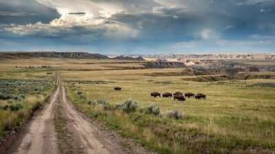 Montana conservation group bought 70,000-acre ranch once owned by Texas billionaires, expanding planned nature preserve beyond half a million acres | World News