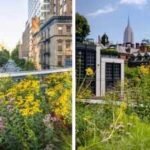 In 1933, New York’s High Line carried freight trains above Manhattan; after its conversion into a park visited by six million people a year, the final garden with 2,000 perennials is set to open in November