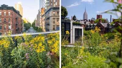 In 1933, New York’s High Line carried freight trains above Manhattan; after its conversion into a park visited by six million people a year, the final garden with 2,000 perennials is set to open in November