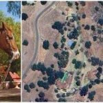 When Noah Wyle bought his 80-acre Santa Ynez, California, ranch in 1999 for nearly .5 million, he was too young and inexperienced to maintain it; today, The Pitt star and Sexiest Man Alive calls it his sanctuary