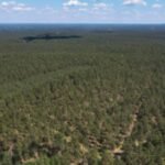 A North Carolina family bought 600 acres in 1811 and kept part of the land for seven generations; 214 years later, a conservation deal protected 298 acres from becoming housing or commercial developments | World News