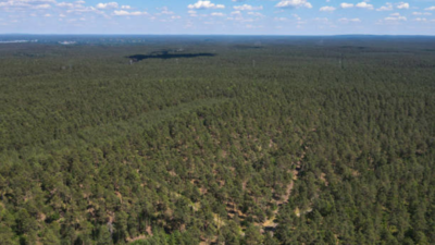 A North Carolina family bought 600 acres in 1811 and kept part of the land for seven generations; 214 years later, a conservation deal protected 298 acres from becoming housing or commercial developments | World News