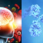 Northwestern scientists studying proteins linked to Alzheimer’s found a single spot that helps harmful tau clumps spread; blocking that hotspot with a chemical tag stopped the clumps from growing in lab tests