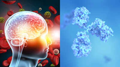 Northwestern scientists studying proteins linked to Alzheimer’s found a single spot that helps harmful tau clumps spread; blocking that hotspot with a chemical tag stopped the clumps from growing in lab tests