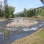 Oregon removed 25 levees and placed 3,700 pieces of wood into a river; 6.6 miles of floodplain are being restored for salmon |