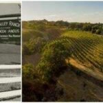 Fred MacMurray raised cattle on his 1,750-acre California ranch; part of it, the 52-acre Flax Estate and Vineyard, now owned by Jeffrey Ubben and Laurie Ubben, lists for  million after their  million purchase in 2016