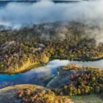 In 2004, Kris Tompkins’ conservation organisation acquired a 174,500-acre Chilean ranch and began restoring its grasslands and wildlife; in 2018 the ranch became part of a national park within a wider conservation effort that has helped protect nearly 15 million acres