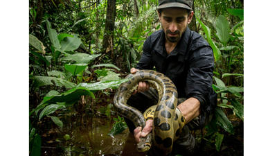 Paul Rosolie entered the Amazon at 18 and spent two decades fighting to save its rainforest; now, his team is protecting 160,000 acres of forest | World News