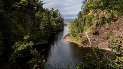 US wildlife partners spent years protecting more than 1,700 acres along Wisconsin’s Lake Superior shore; the project has restored wetlands, treated invasive plants and reconnected cold-water habitat