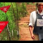 Princess Diana walked into an Angolan minefield in 1997; decades later, the landmine campaign she helped popularise is still clearing deadly remnants | World News